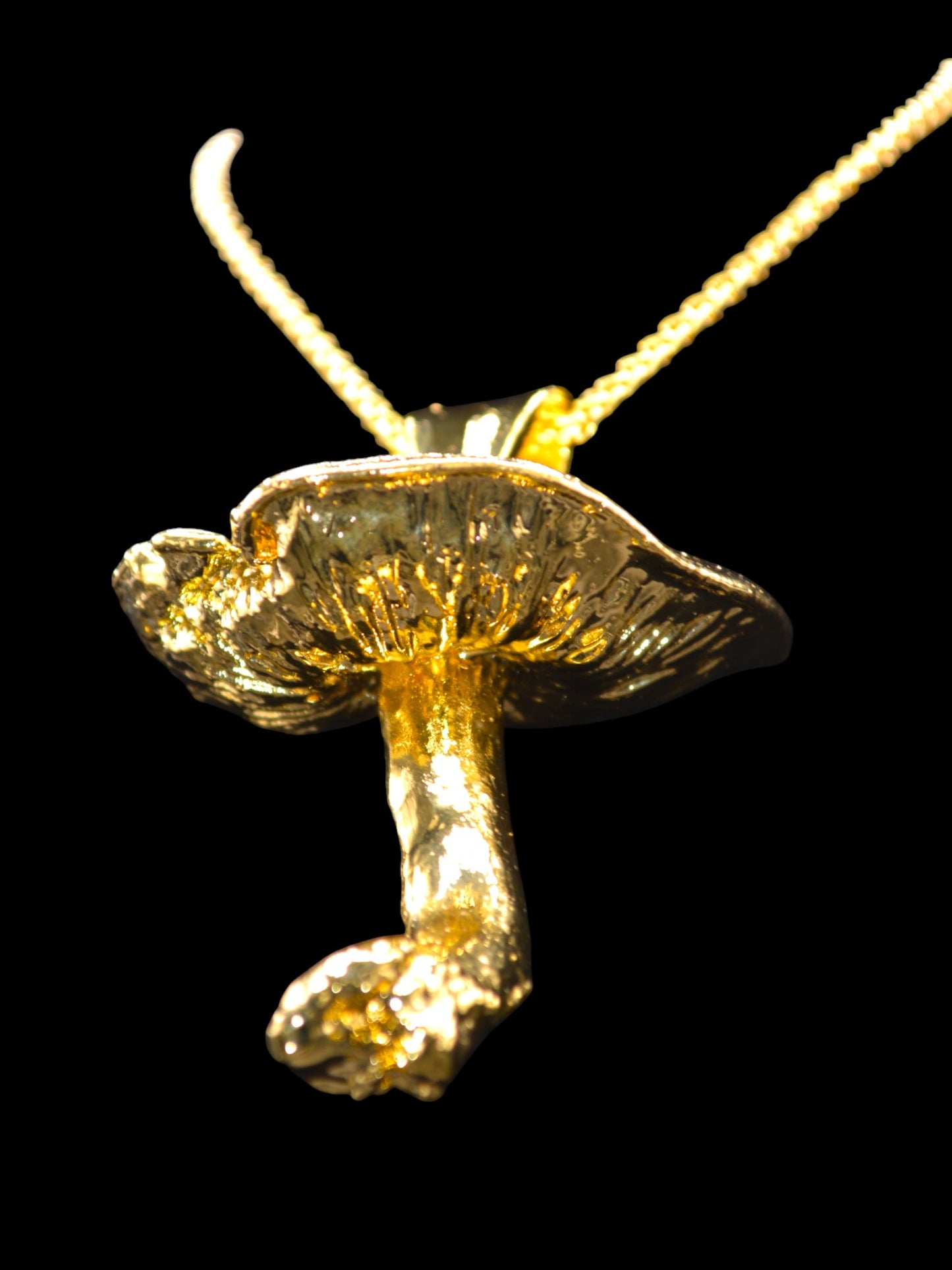 Inocybe Dry Pendant