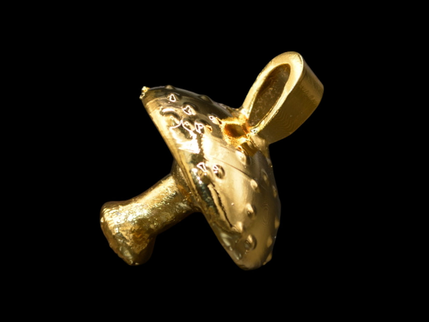 Panaeolus fimicola Pendant
