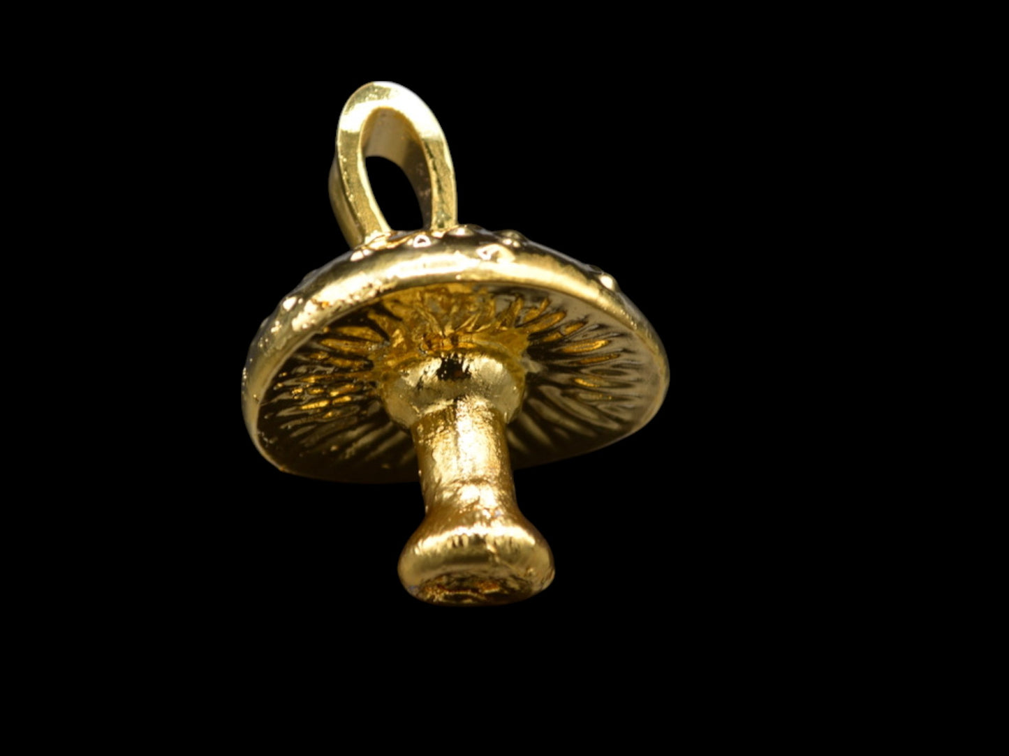 Panaeolus fimicola Pendant