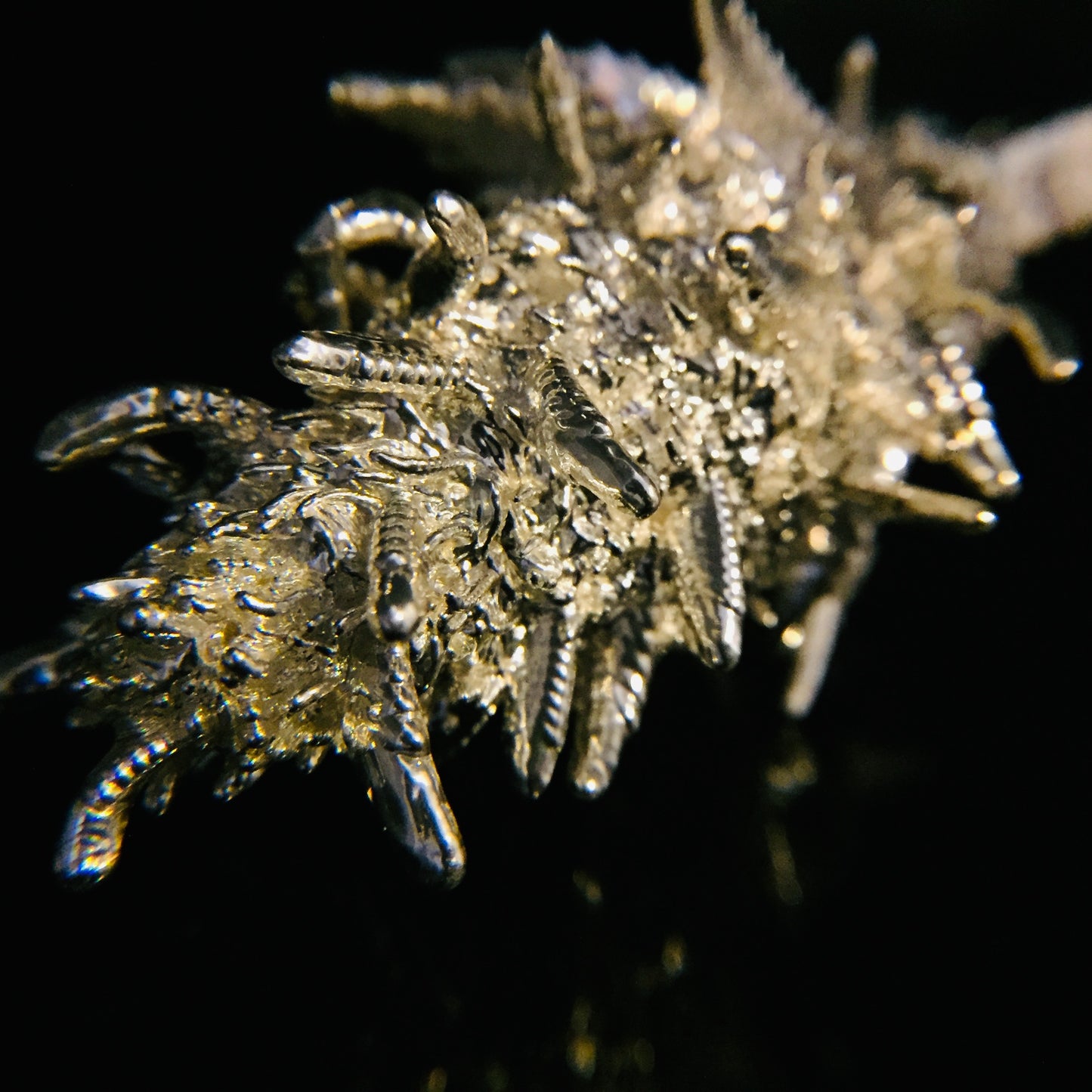 Silver Haze Full Flower