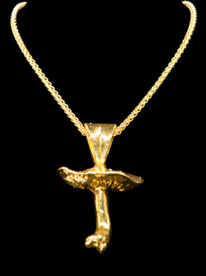 Inocybe Dry Pendant