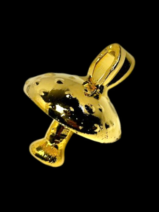 Panaeolus fimicola Pendant